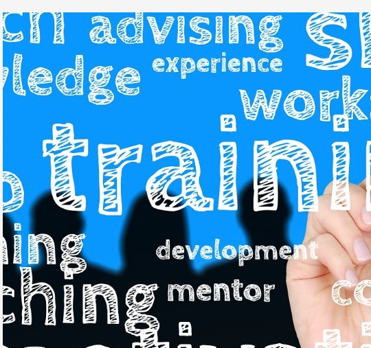 Training and development word illustration
